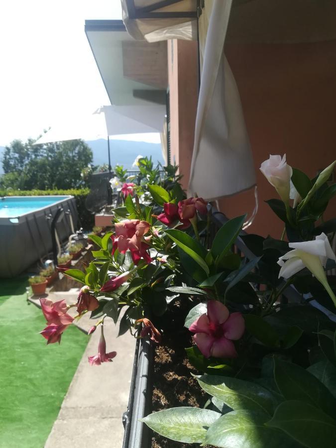 La Fontanella Apartment Polverara Exteriér fotografie